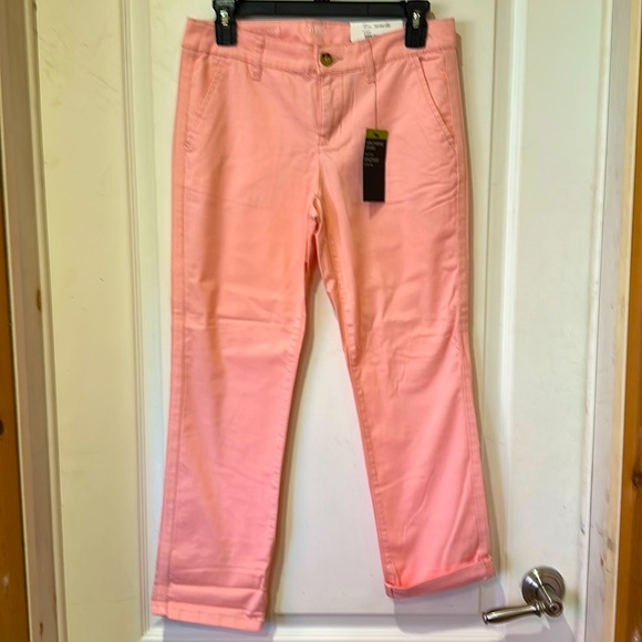 Women’s Ana girlfriend Chino pants new with tags pink size 2 mid rise slim leg - Picture 1 of 5